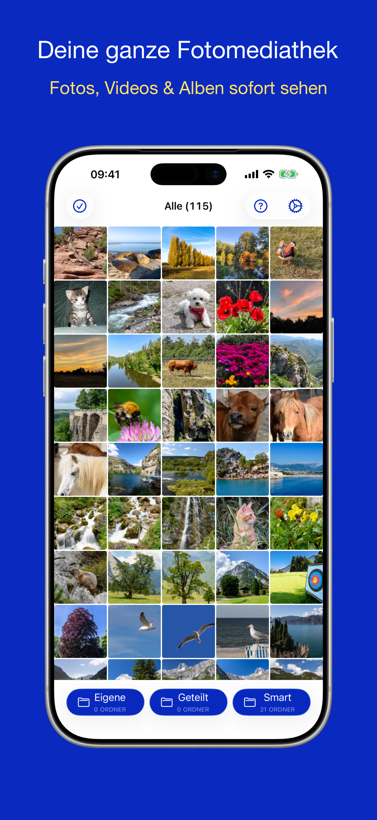 PhotoView-Galerie mit einem Miniaturraster der Fotomediathek